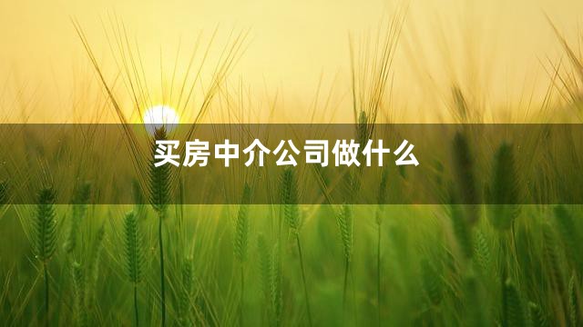 买房中介公司做什么