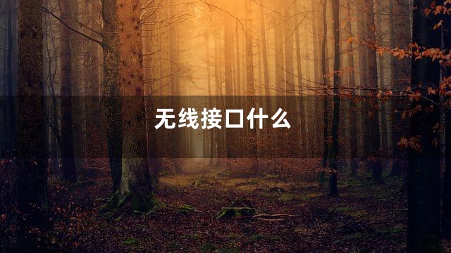 无线接口什么