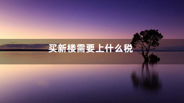 买新楼需要上什么税