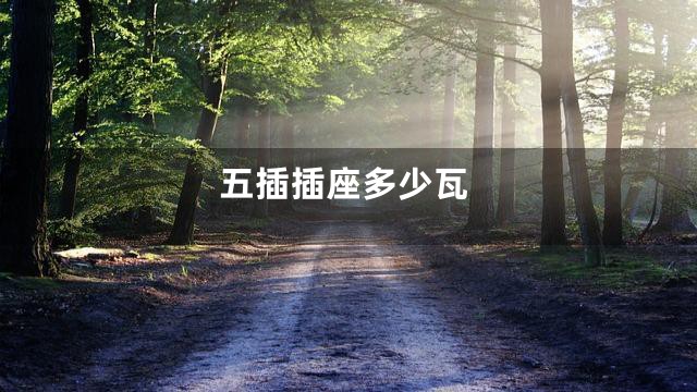 五插插座多少瓦