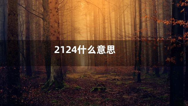 2124什么意思