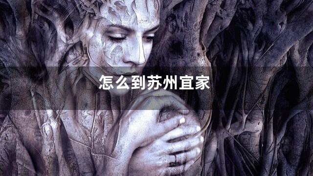 怎么到苏州宜家