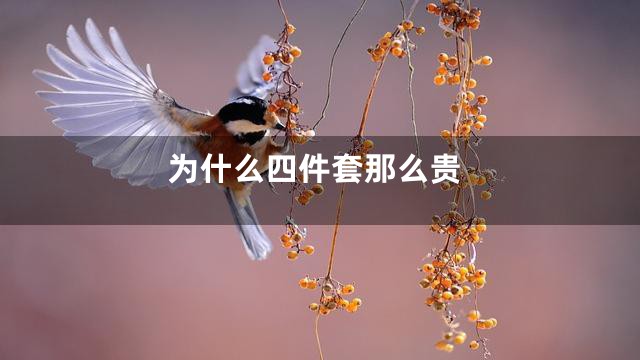 为什么四件套那么贵