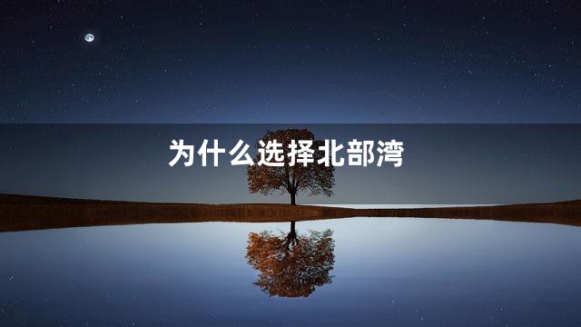 为什么选择北部湾