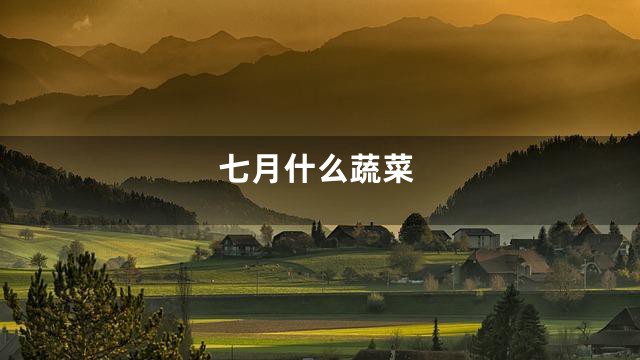 七月什么蔬菜