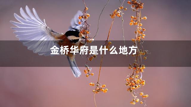 金桥华府是什么地方