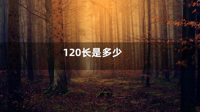 120长是多少
