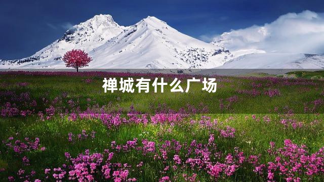 禅城有什么广场