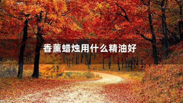 香薰蜡烛用什么精油好