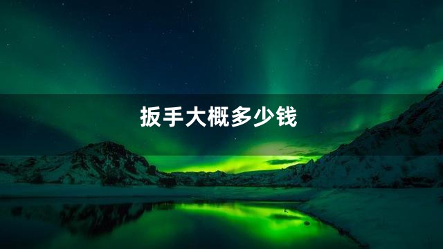 扳手大概多少钱