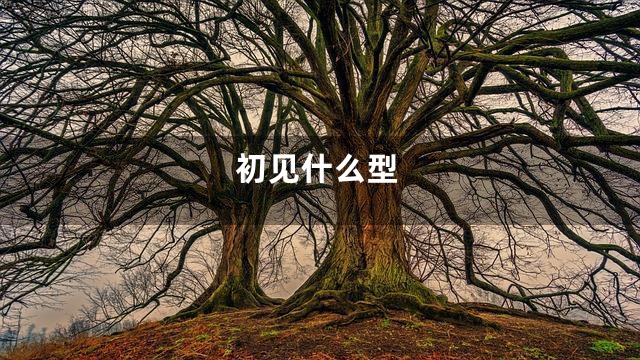 初见什么型