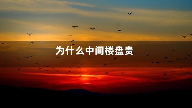 为什么中间楼盘贵