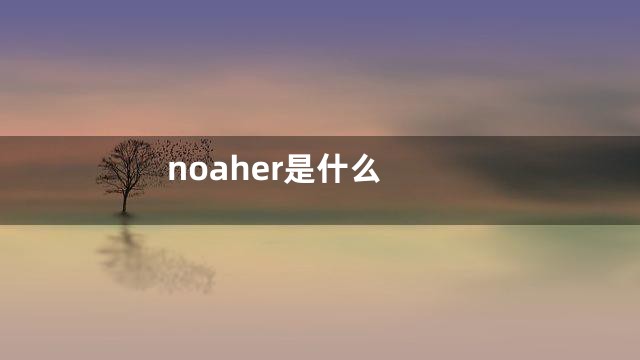 noaher是什么