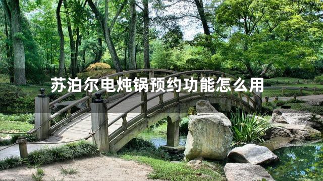 苏泊尔电炖锅预约功能怎么用