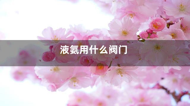 液氨用什么阀门