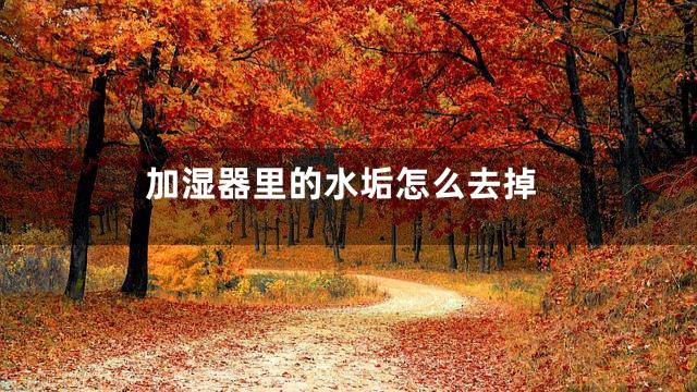 加湿器里的水垢怎么去掉