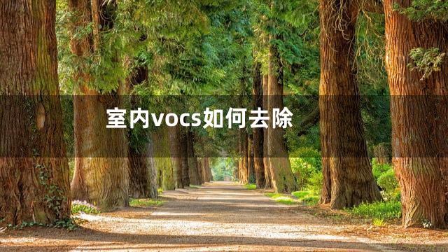 室内vocs如何去除