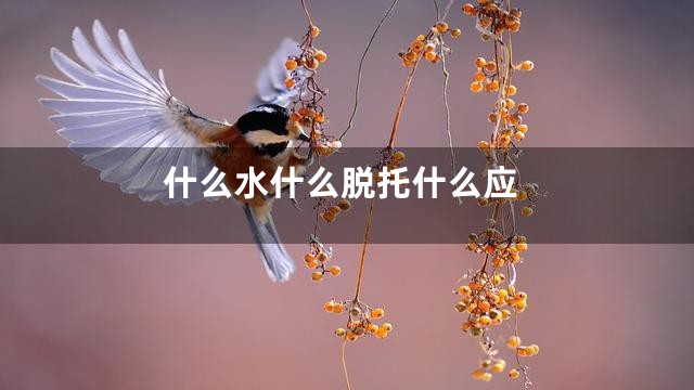 什么水什么脱托什么应
