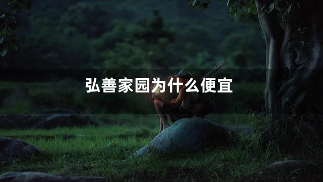 弘善家园为什么便宜