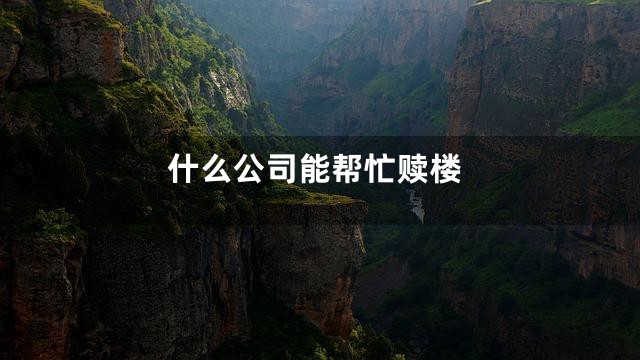 什么公司能帮忙赎楼