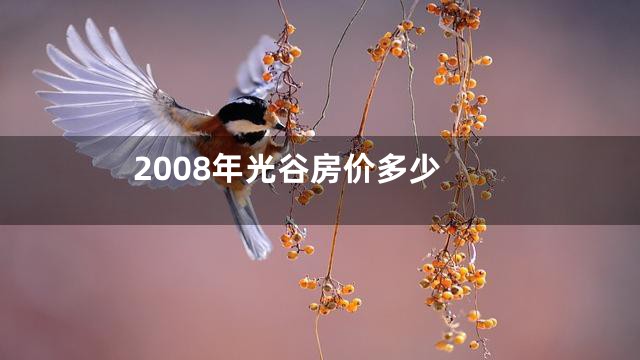 2008年光谷房价多少