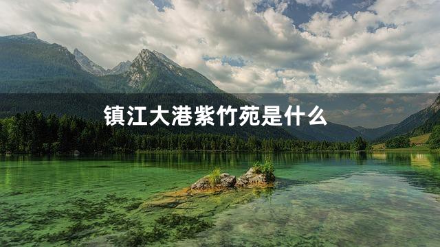 镇江大港紫竹苑是什么