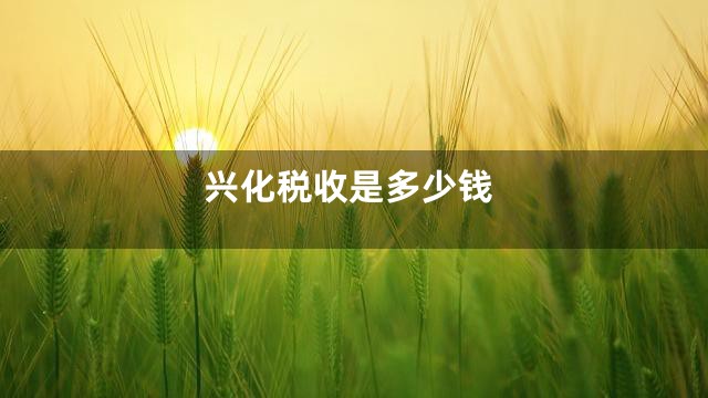 兴化税收是多少钱