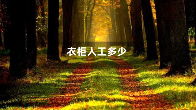 衣柜人工多少