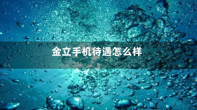 金立手机待遇怎么样