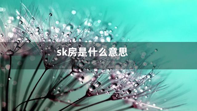 sk房是什么意思