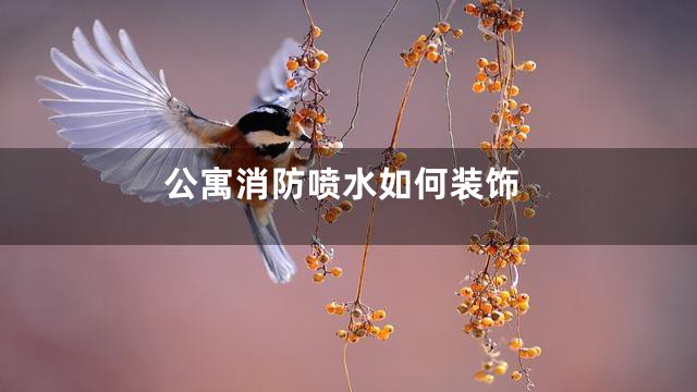 公寓消防喷水如何装饰