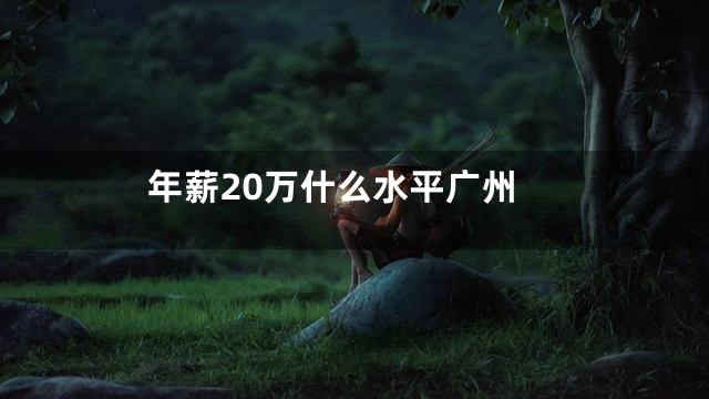 年薪20万什么水平广州