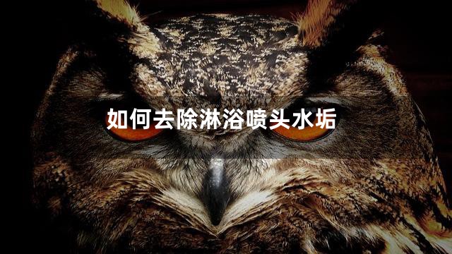 如何去除淋浴喷头水垢