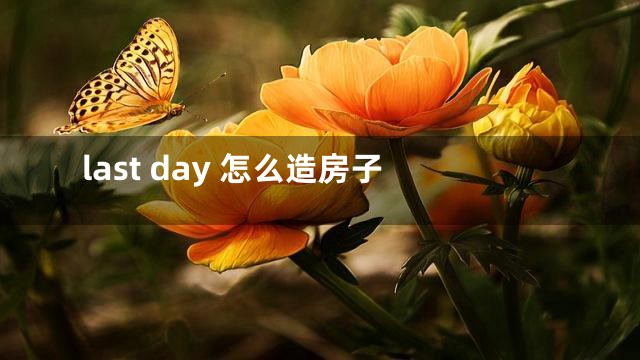last day 怎么造房子