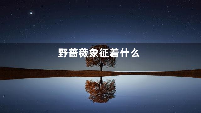 野蔷薇象征着什么