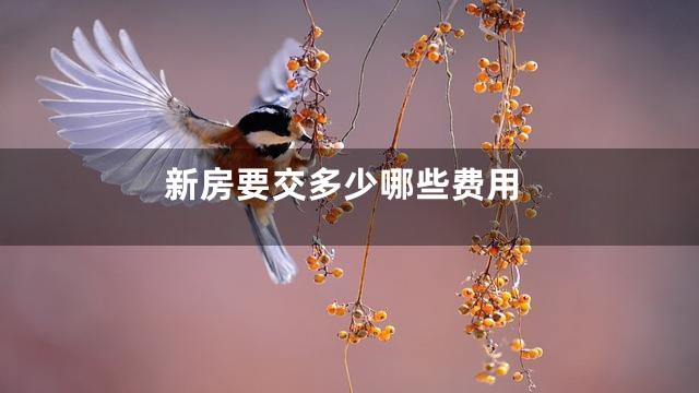 新房要交多少哪些费用