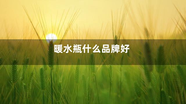 暖水瓶什么品牌好