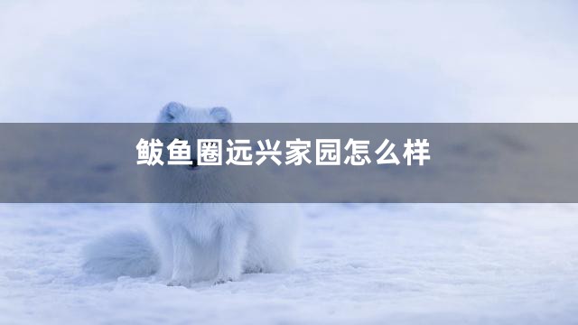 鲅鱼圈远兴家园怎么样