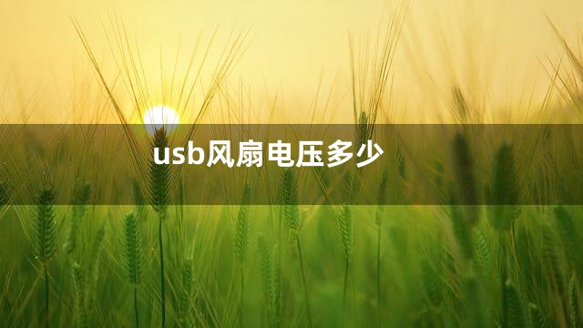 usb风扇电压多少