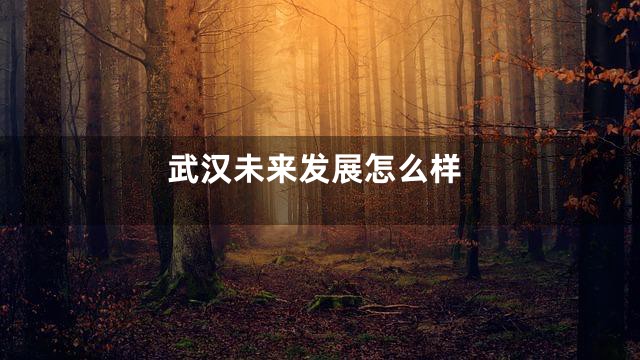 武汉未来发展怎么样