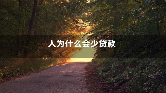 人为什么会少贷款