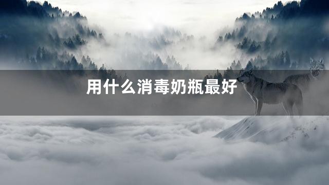 用什么消毒奶瓶最好