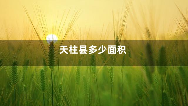 天柱县多少面积