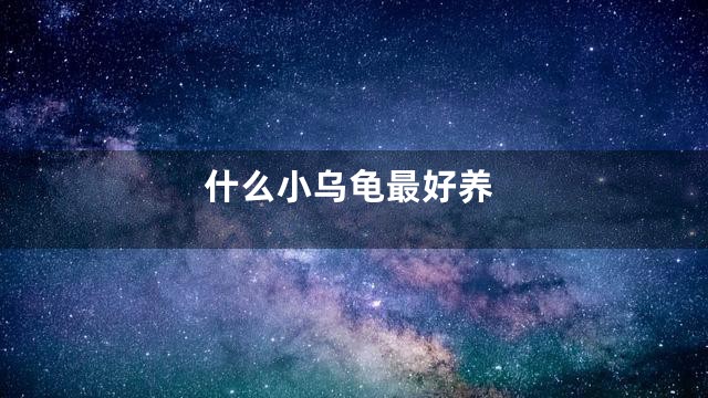 什么小乌龟最好养