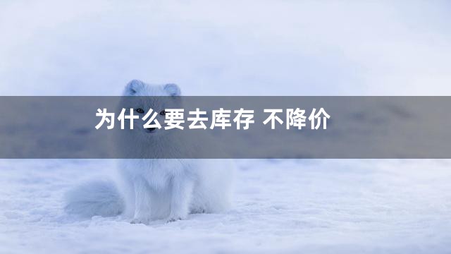 为什么要去库存 不降价