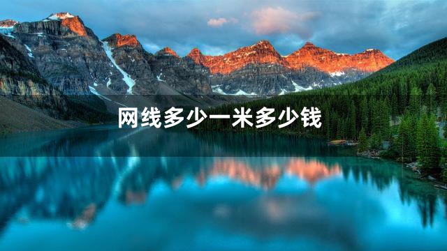 网线多少一米多少钱