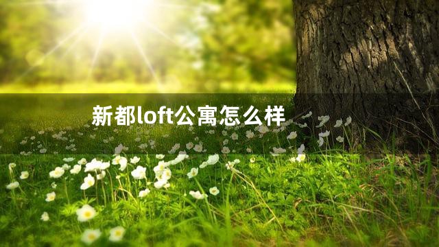 新都loft公寓怎么样