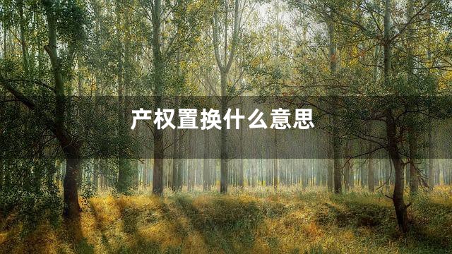 产权置换什么意思