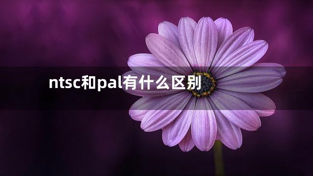 ntsc和pal有什么区别