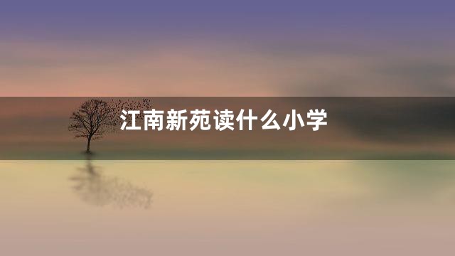 江南新苑读什么小学